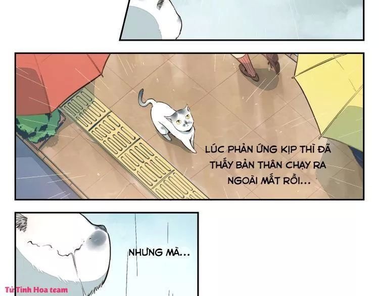 thời khắc ấy, chúng ta gặp nhau chapter 20 15