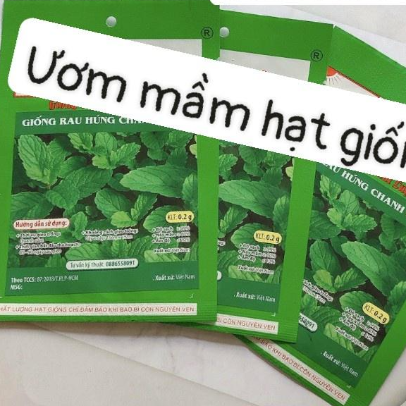 Hạt giống HN Giống húng chanh gói 0.2gr