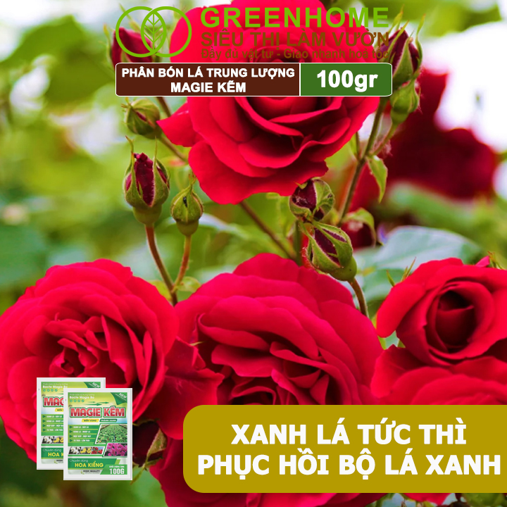Phân Bón Lá Magie Kẽm, GreenHome, Gói 100GR, Chuyên Dùng Cho Hoa Kiểng