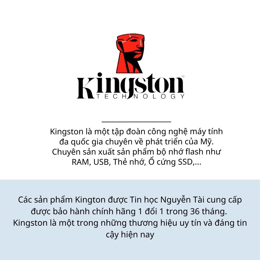 Ổ cứng SSD Kingston 1TB NV2 NVMe PCIe 4.0 (SNV2S/1000G) - Hàng chính hãng