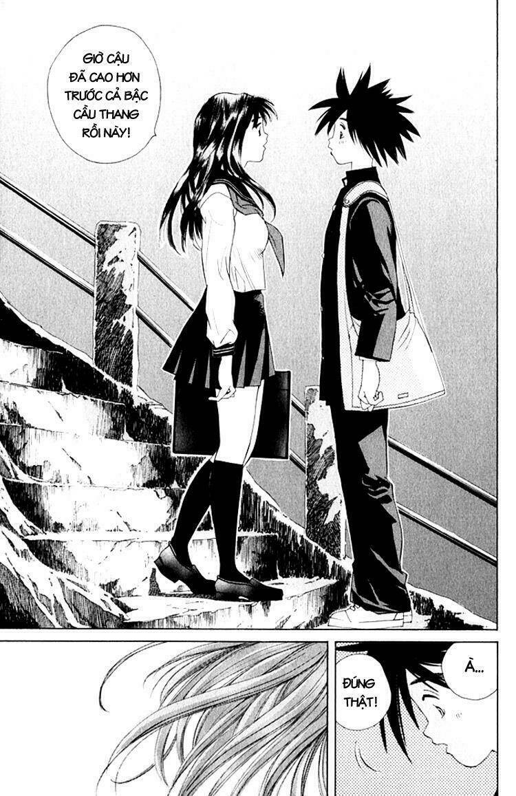 parallel chapter 19 37