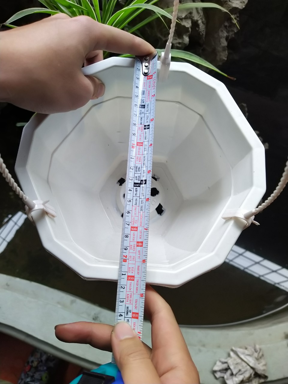 5 Chậu Nhựa Treo 5 Màu,Hình Bát Giác,Có Móc Treo Cùng Màu,Kích Thước Đường Kính 22cm Cao 14cm