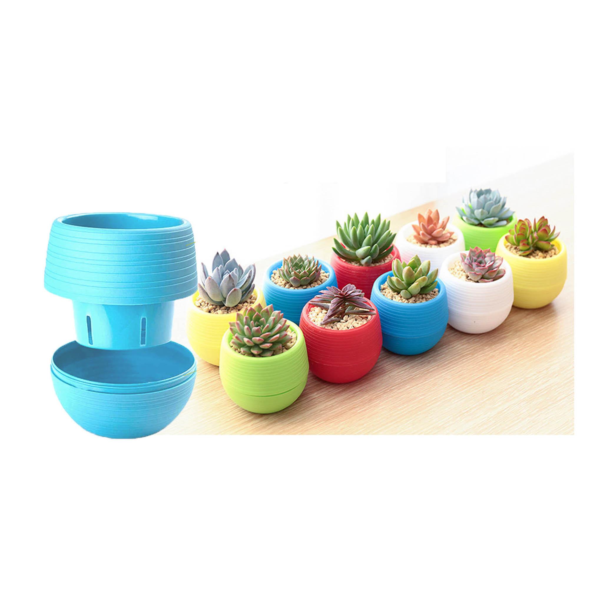 Chậu Trồng Sen Đá Mini TH Garden - Có Đáy Trữ Nước, Trồng Sen Đá, Xương Rồng Cực Đẹp - Sử Dụng Decor Phòng, Trang Trí Sân Vườn