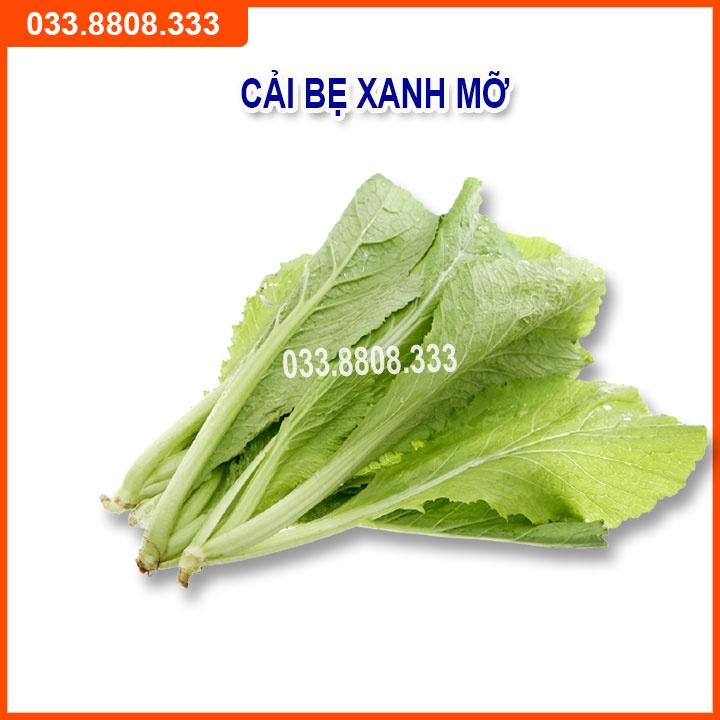 Bộ 5 Loại Hạt Giống Rau Cải Bất Kỳ - Rau Trồng Chậu Nhanh Thu Hoạch