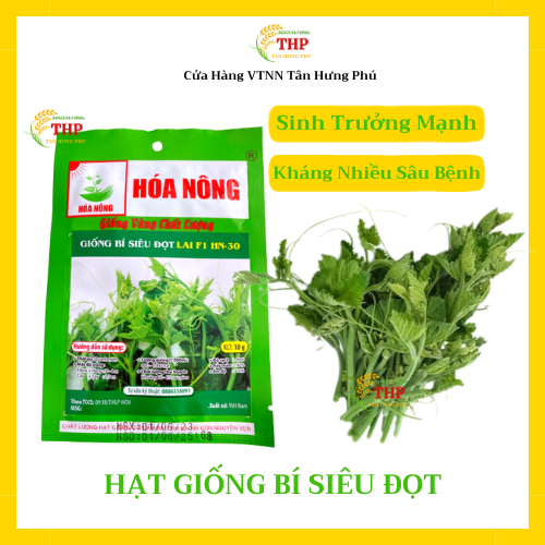 Hạt giống Bí Siêu Đọt Lai F1 HN-30 | Hạt giống | gói 10gr