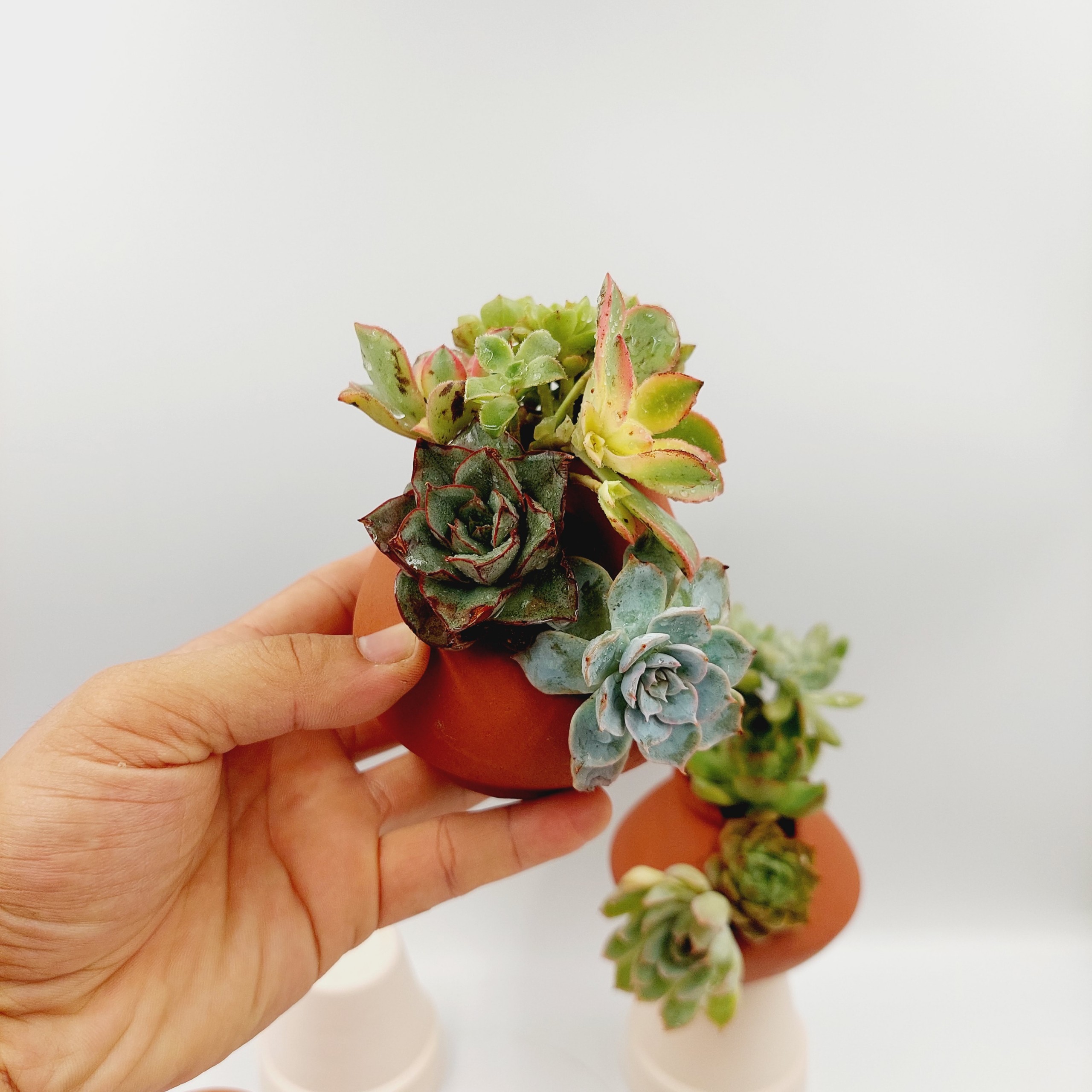 Chậu đất nung, chậu sen đá - Bình vôi dễ thương 48, miệng chậu 4cm, chiều cao 8cm