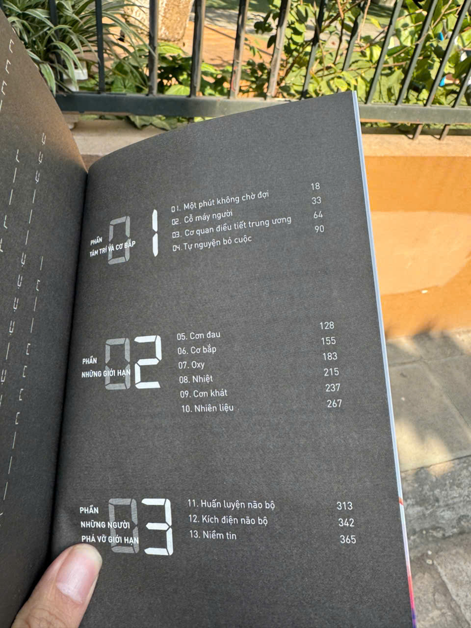 VƯỢT NGƯỠNG: Điều gì khiến con người vượt qua giới hạn - Alex Hutchinson - Lê Thanh Sơn dịch - Rubik