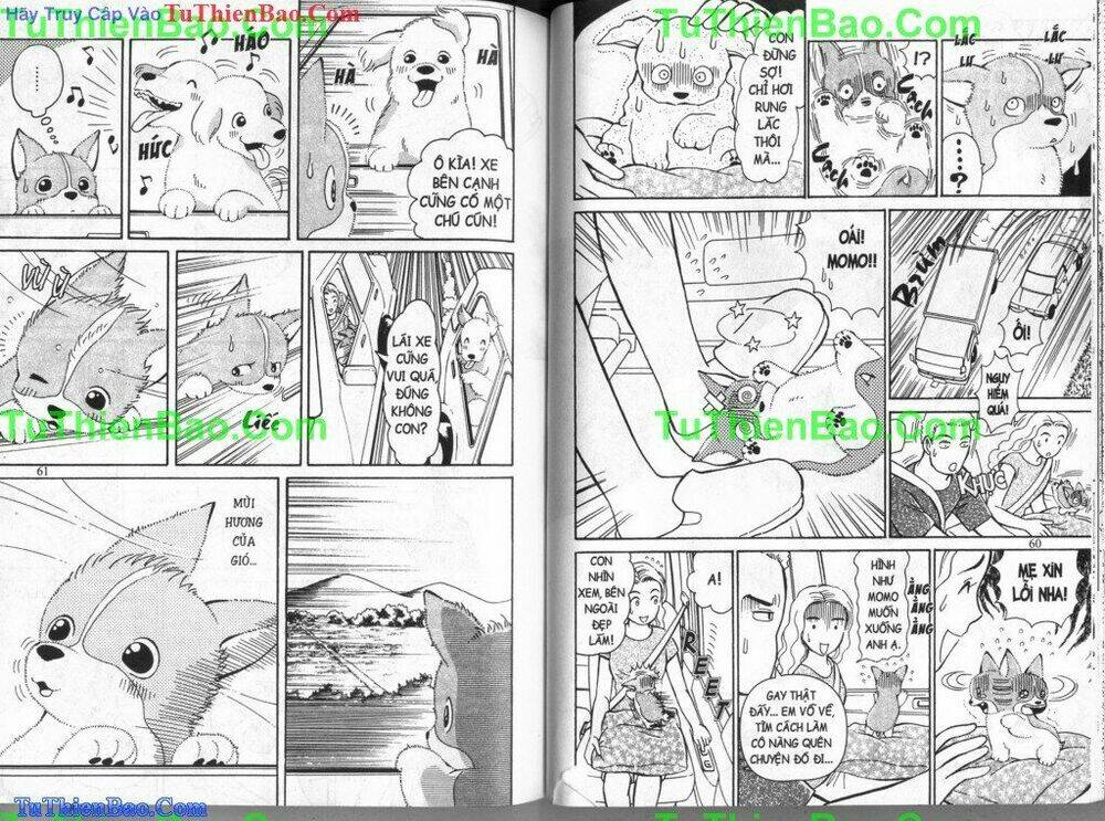chó con mo mo chapter 4 31