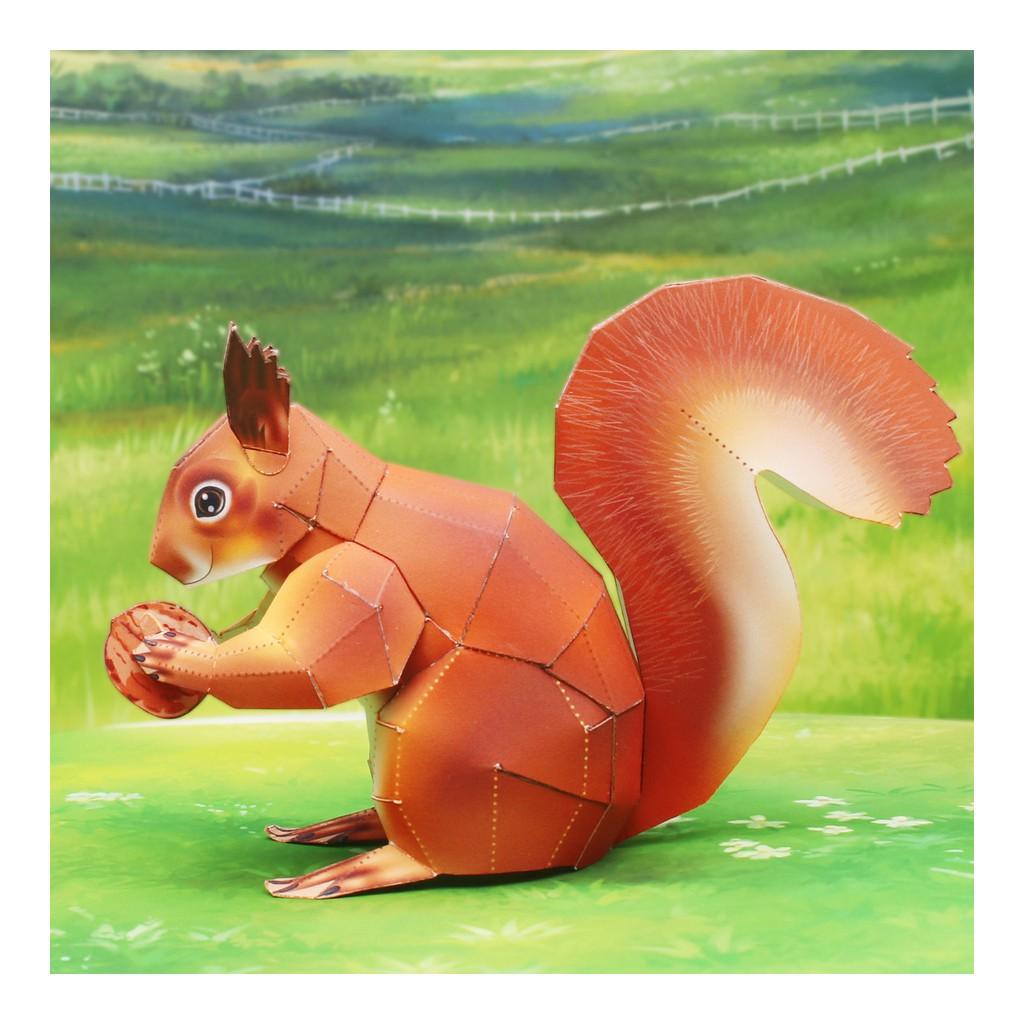 Mô hình giấy động vật sóc American Red Squirrel