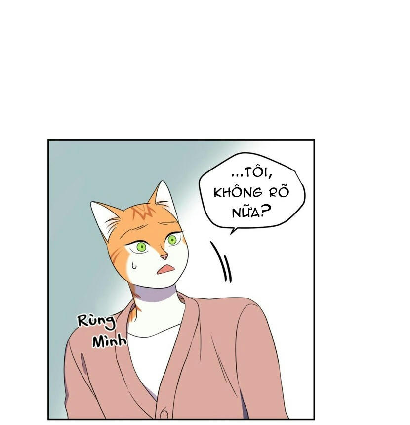 dự án xanh chapter 20 70