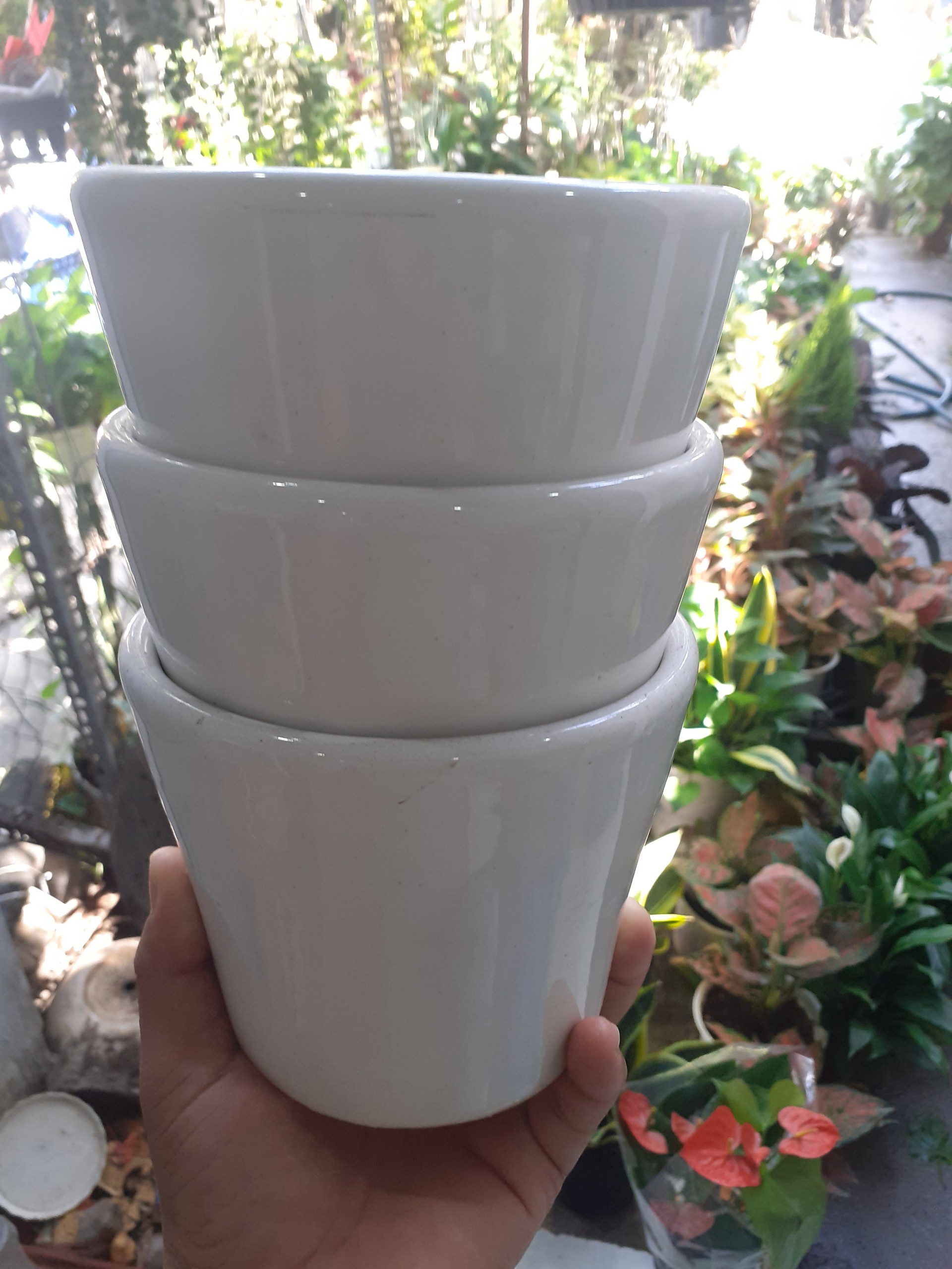 Chậu đất nung TRÁNG MEN MÀU TRẮNG.