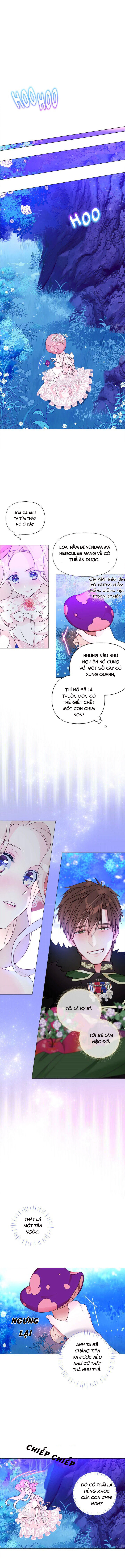 hãy chọn papa thật sự trong số các bạo chúa! chapter 12 13