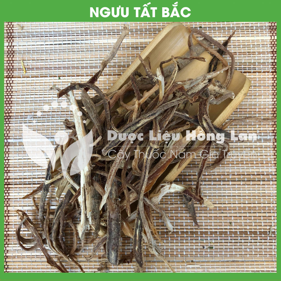 Cây Ngưu Tất Bắc khô gói 500gram