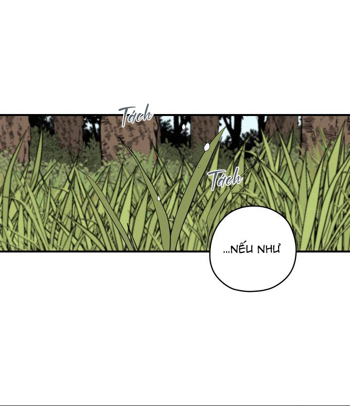 đường hoa liên kiều rơi chapter 23 65