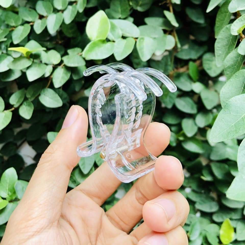 Set 12 kẹp càng cua trong suốt - giao màu ngẫu nhiên