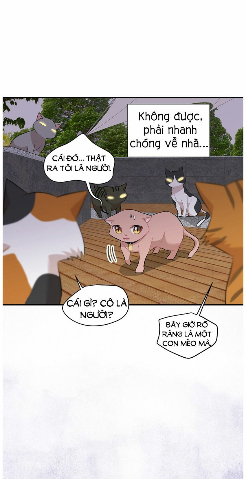 cuộc sống kỳ thú chapter 21 17