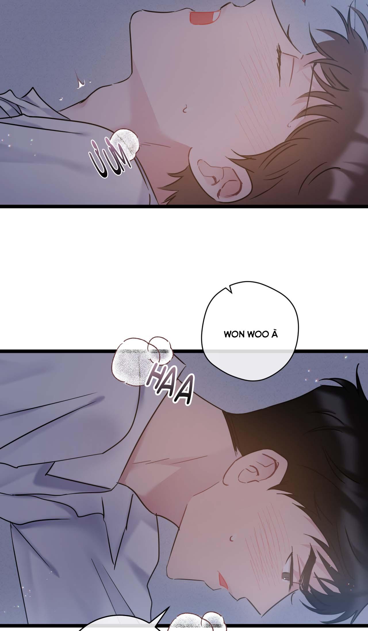 tình yêu bình dị nhất chapter 22 10