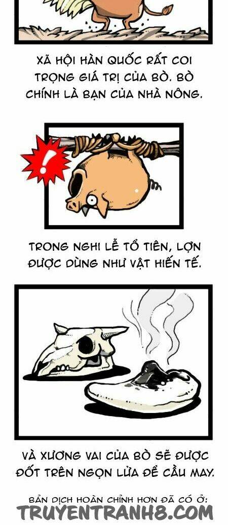 earth, human, and animal chapter 24 19