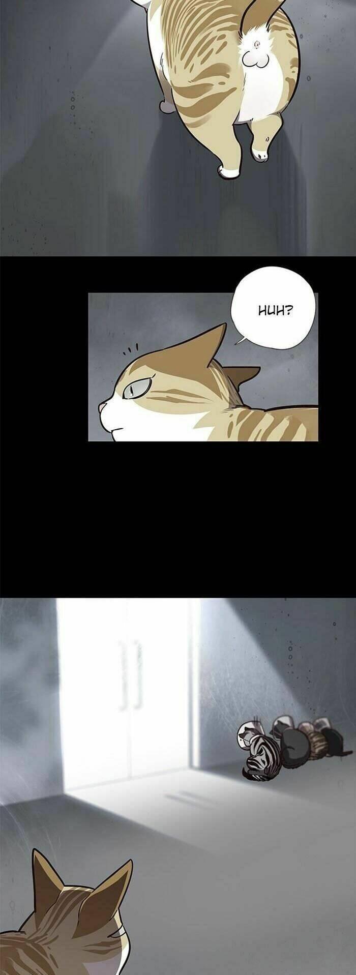 biến thân thành mèo chapter 56 4