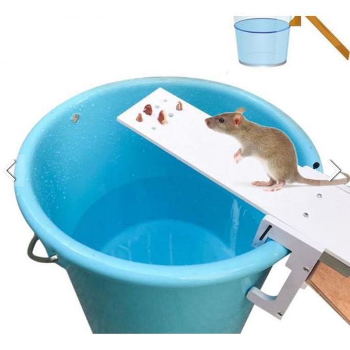 BẪY CHUỘT SIÊU ĐƠN GIẢN MOUSETRAP TECH - Home and Garden