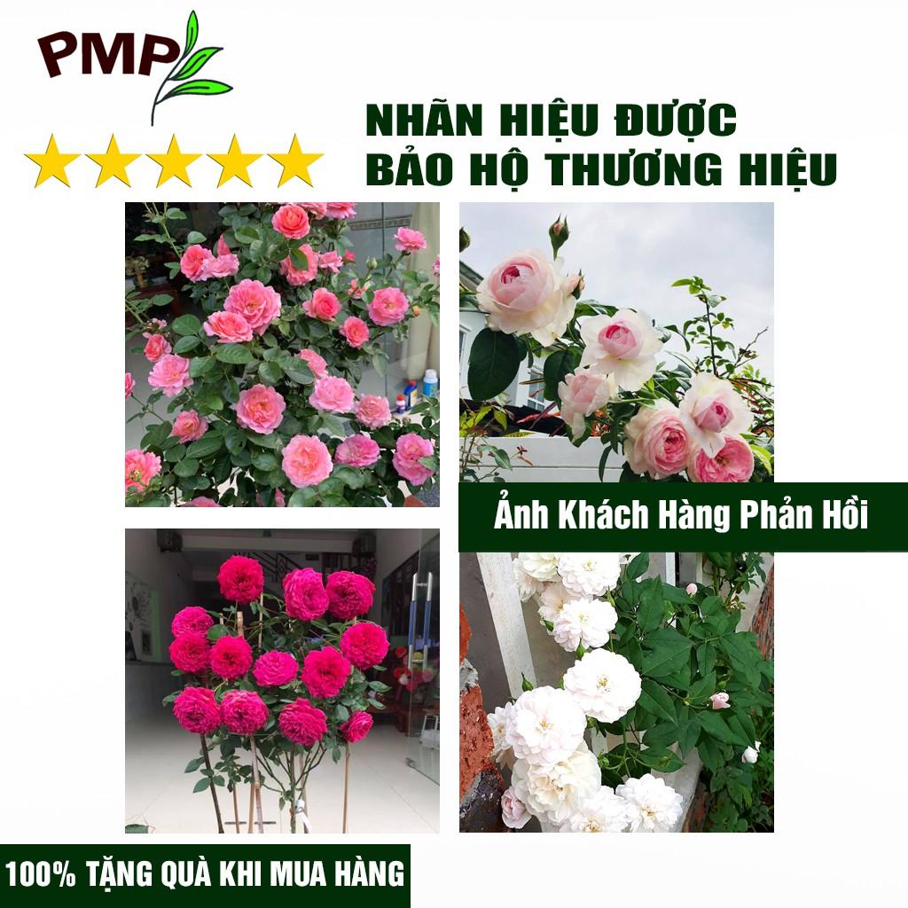 Phân Bón Hữu Cơ Vi Sinh PMP Dạng Viên Nén, Chuyên Dụng Cho Hoa Hồng, Rau Củ Quả Super Probio 1Kg