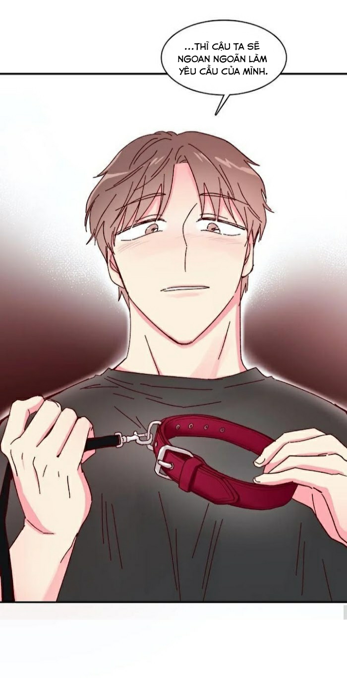 món tráng miệng của sếp tổng chapter 11 31