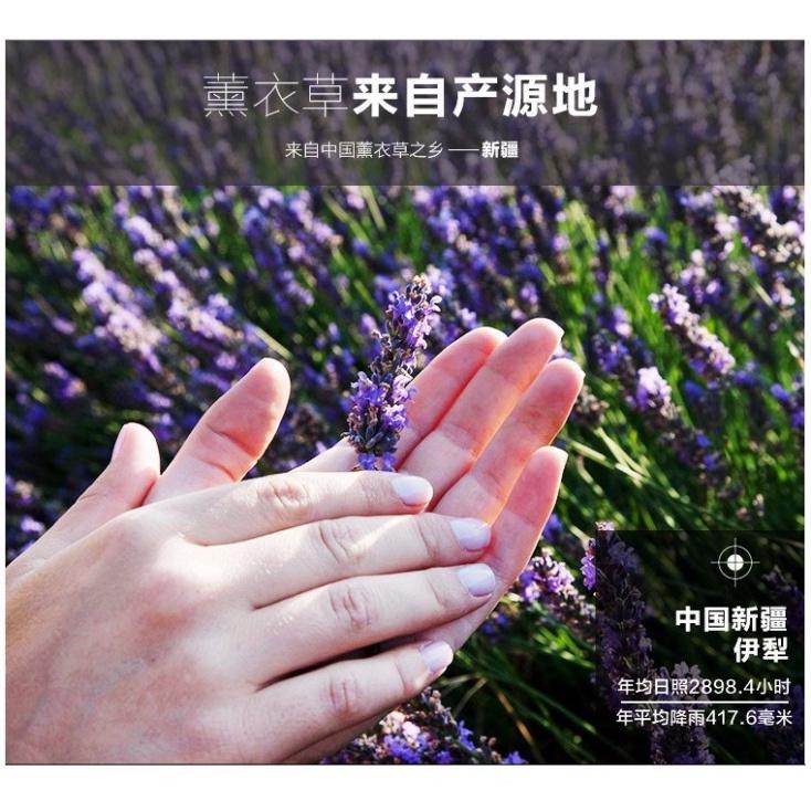 Túi Thơm Hoa Oải Hương Lavender