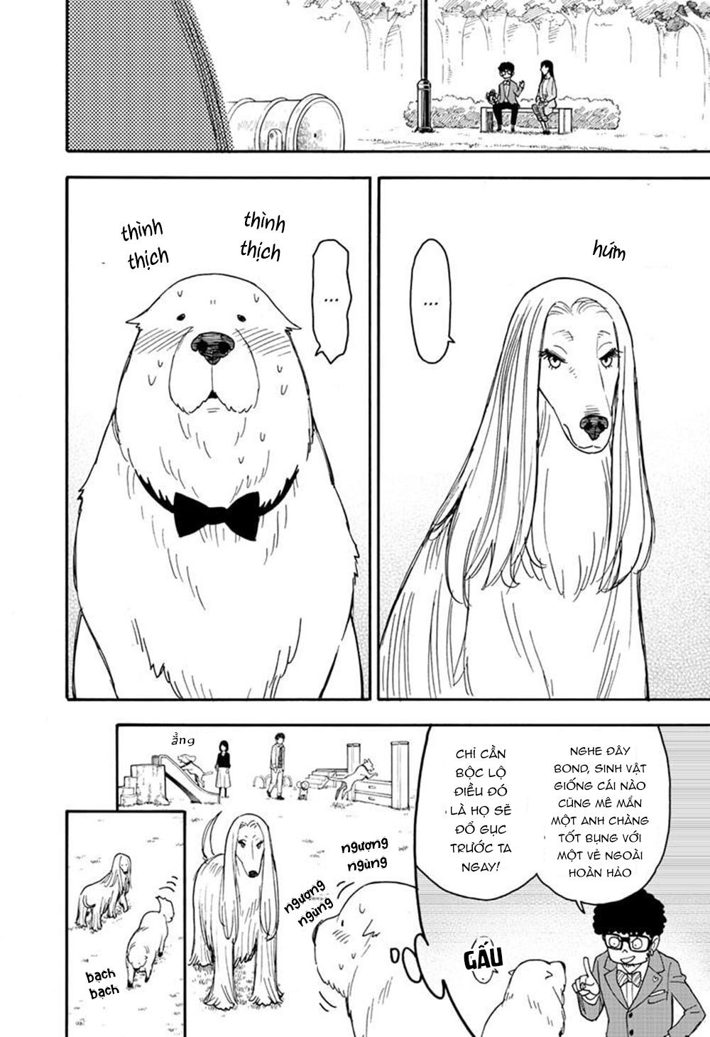 Gia Đình Điệp Viên chapter 62.6 6