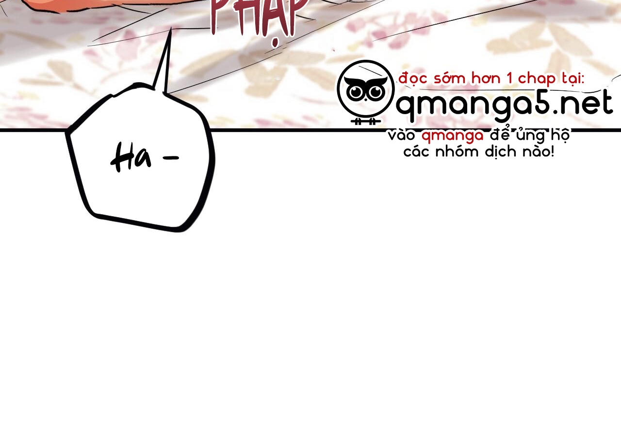 đàn thỏ của habibi chapter 64 8