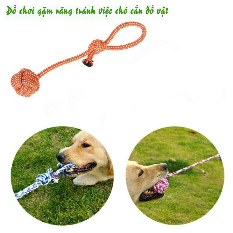 Bóng dây thừng đồ chơi cho chó