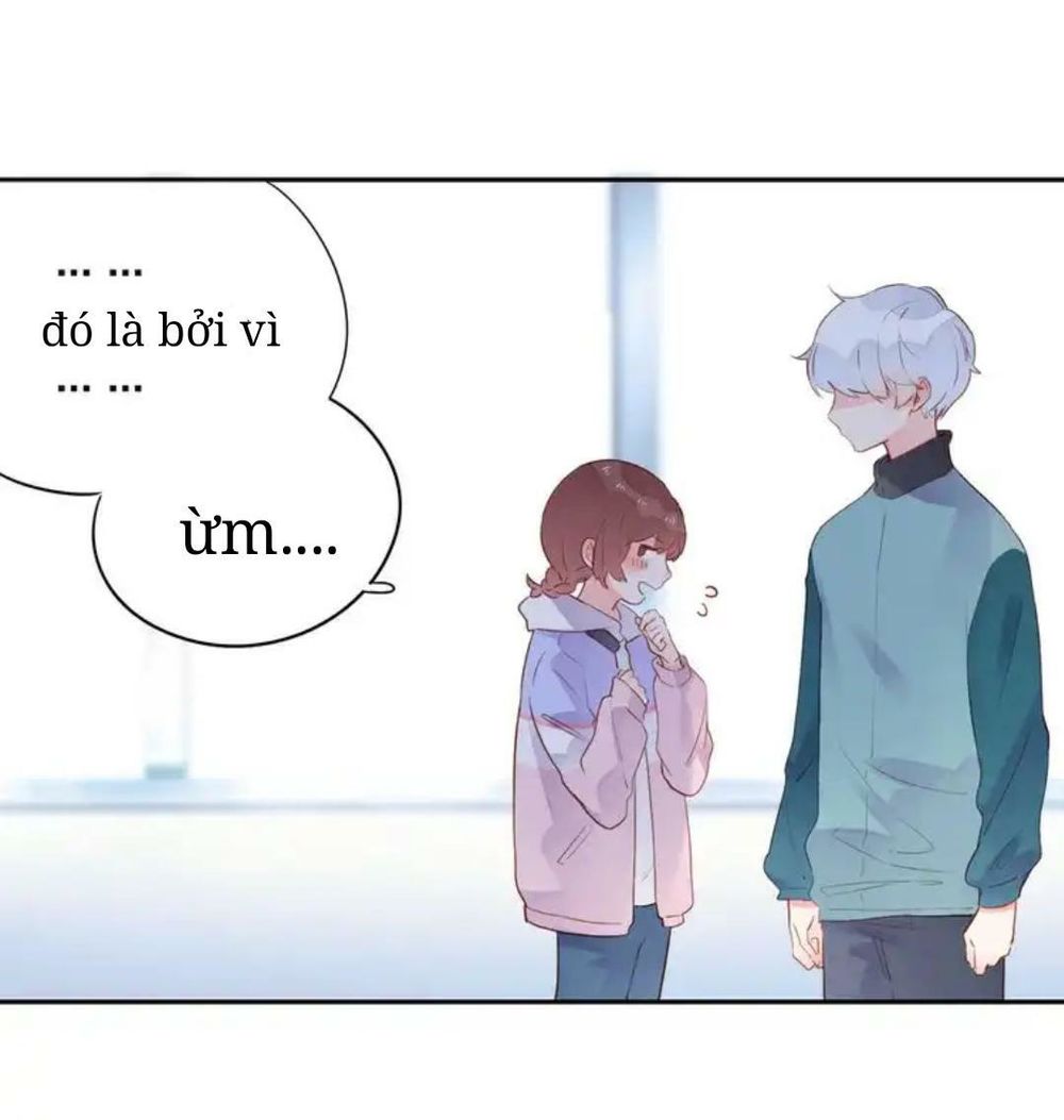 sos! tôi đã yêu một con sâu bướm (phần 2) chapter 49 34