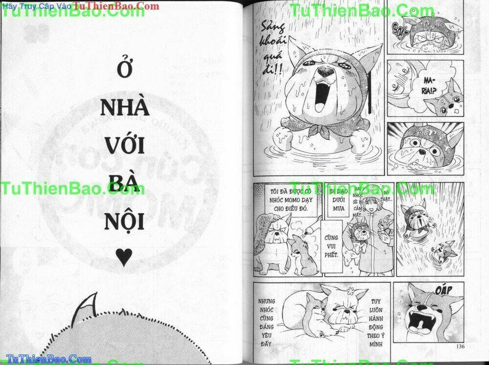 chó con mo mo chapter 5 69