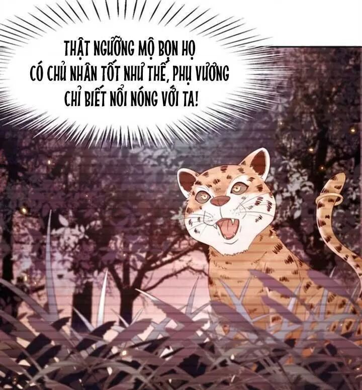 cực phẩm phế vật tiểu thư chapter 61 8