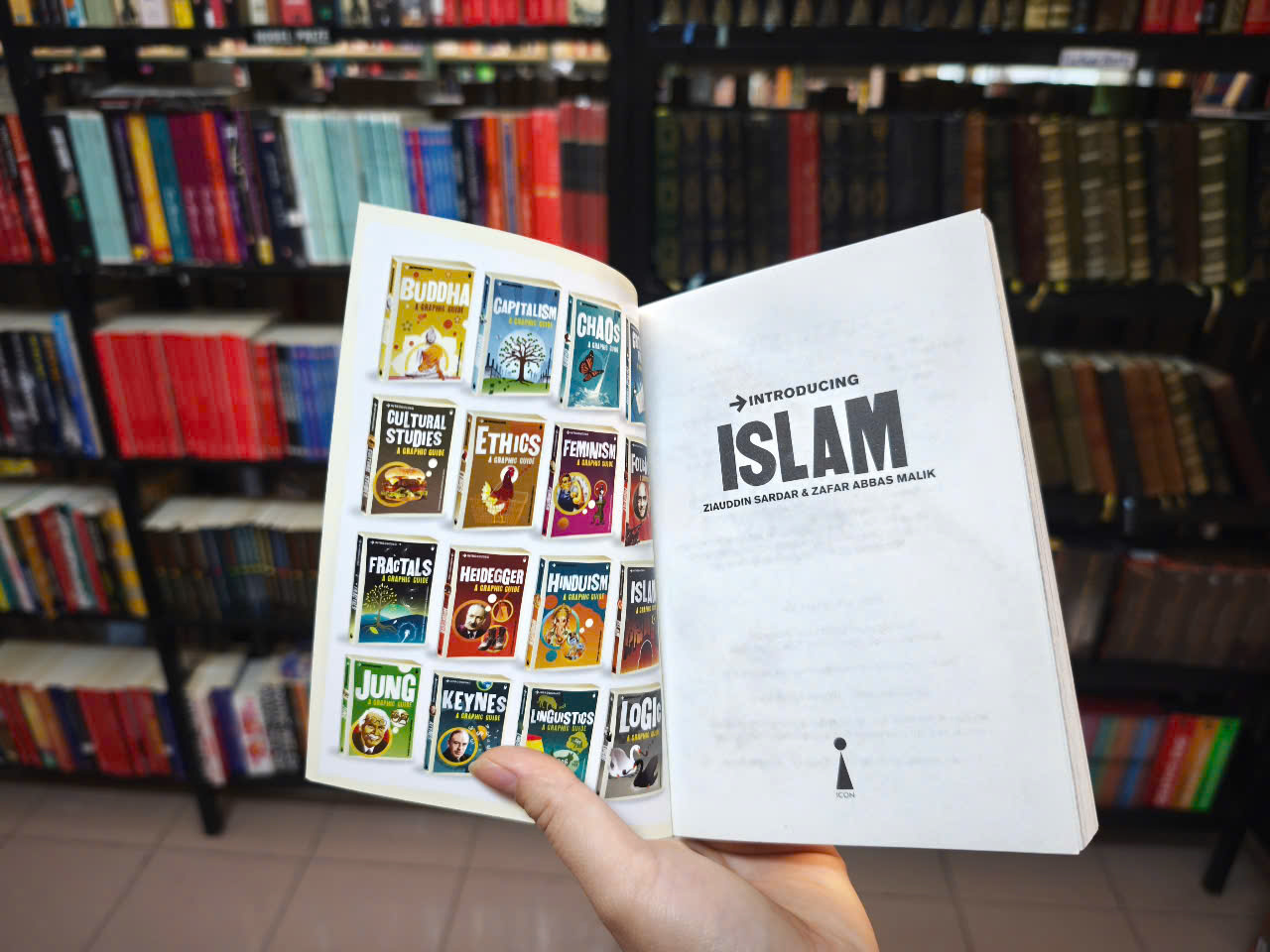 Sách - Introducing Islam: A Graphic Guide by Ziauddin Sardar - Religion /Nonfiction/ Islam in English