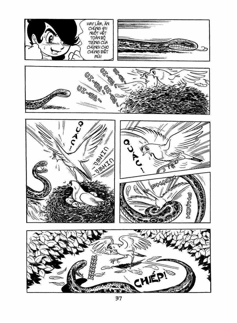 apollo’s song chapter 0 36