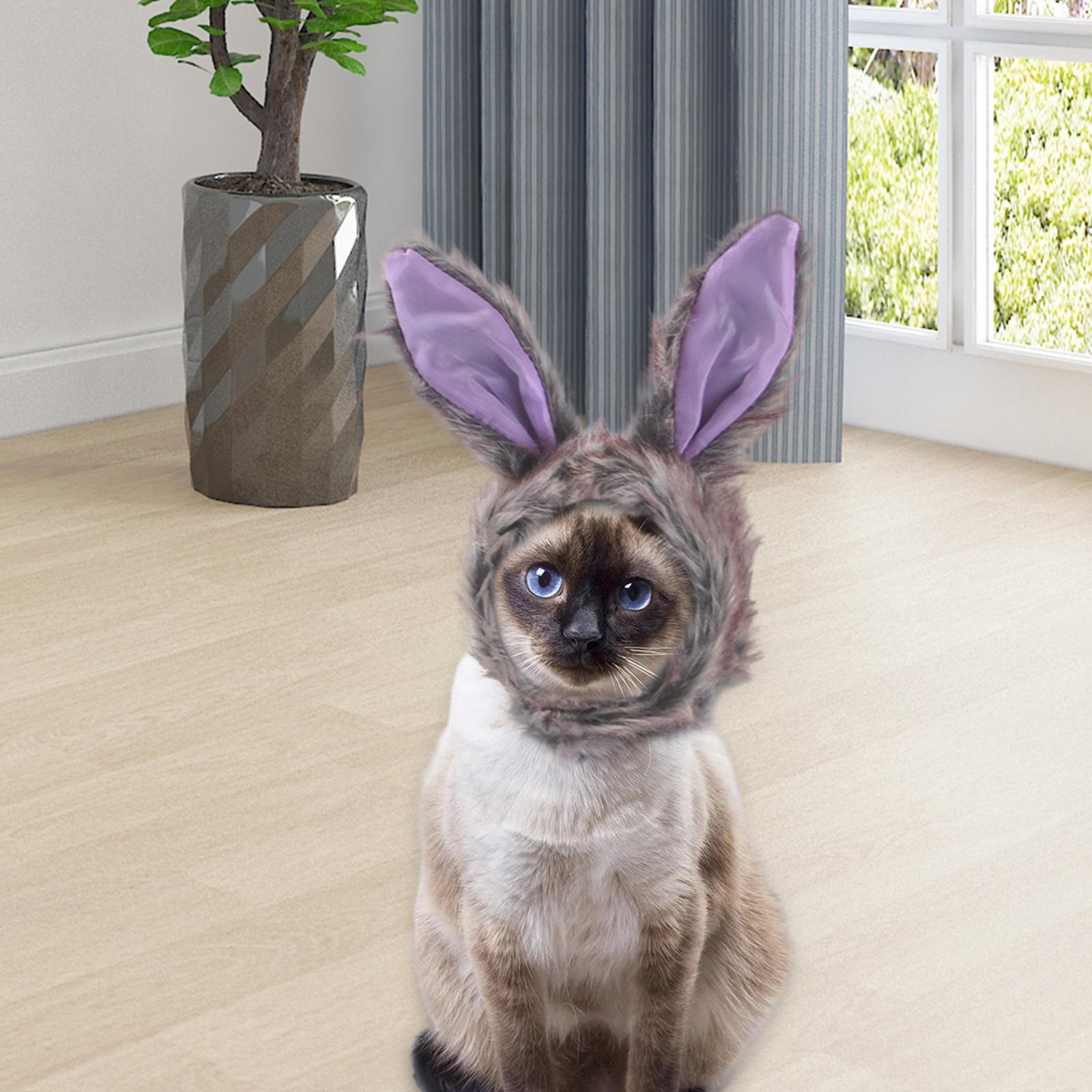 Dog Cat Hat Winter Funny Hats for Dress Up Gray Rabbit+Dog