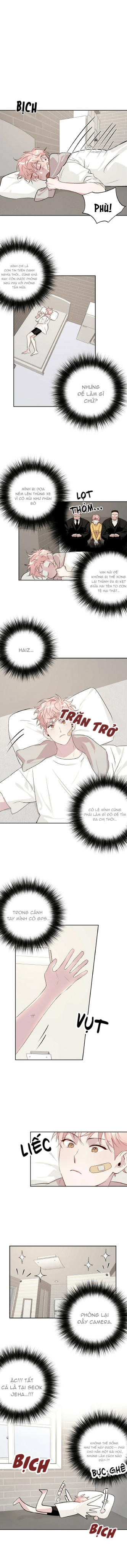 bạn có tò mò về bài review? chapter 12 2