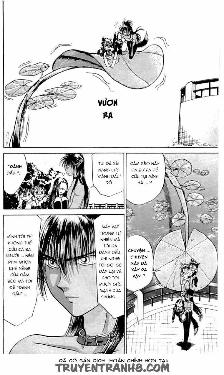 wild half chapter 13 17