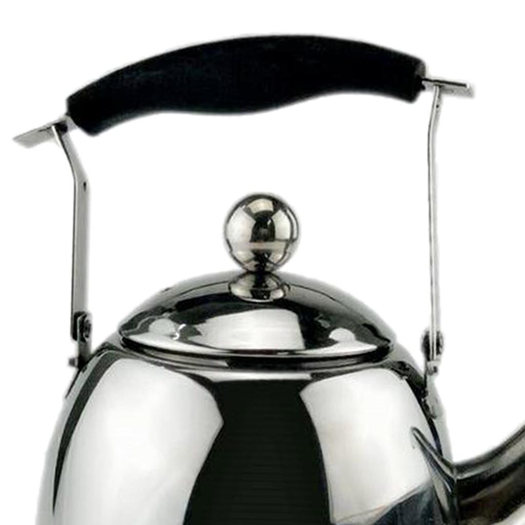 Tea Kettle Stainless Steel Teapot for Tea Coffee Fast Boiling 1L