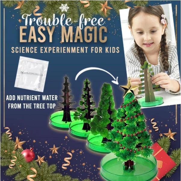 Bộ lắp ráp cây thông trang trí nhà cửa Miracle Growing Christmas Tree - AsiaMart