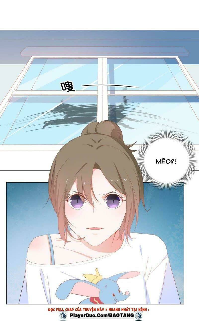 thập nhị hắc miêu chapter 2 29