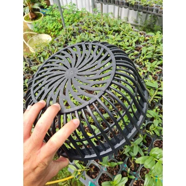 Chậu nhựa nan phụ trồng lan 30cm