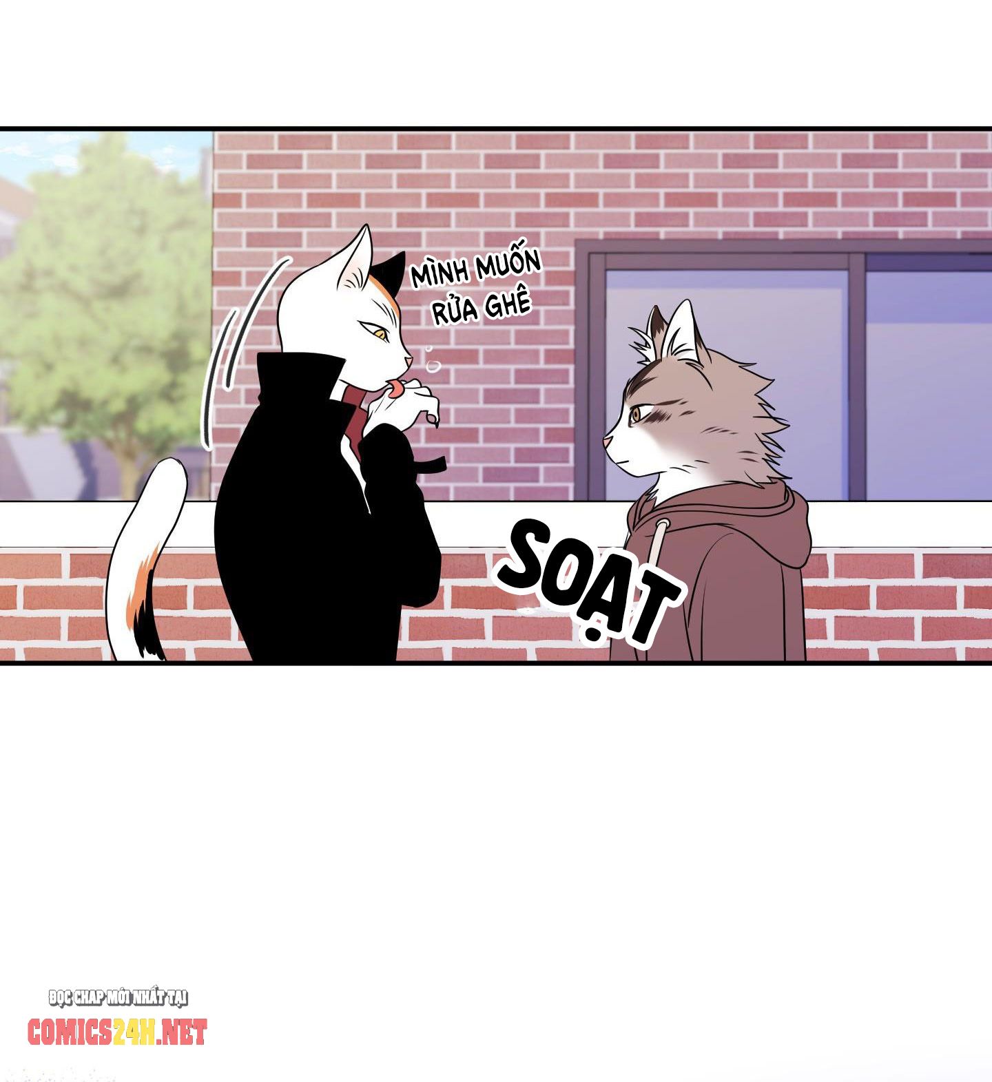 dự án xanh chapter 2 37