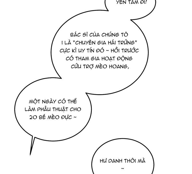 rốt cuộc bé mèo đang nghĩ gì ? chapter 14 36