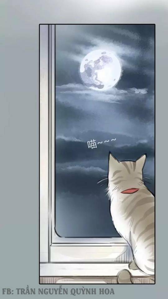 12 giờ của lọ lem chapter 18 13