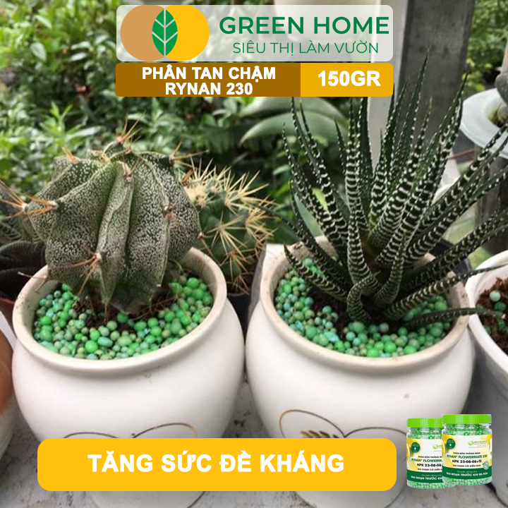 Phân tan chậm Rynan 230, chai 150gr, chuyên kiểng lá, dưỡng lá xanh, sinh trưởng khoẻ |Greenhome