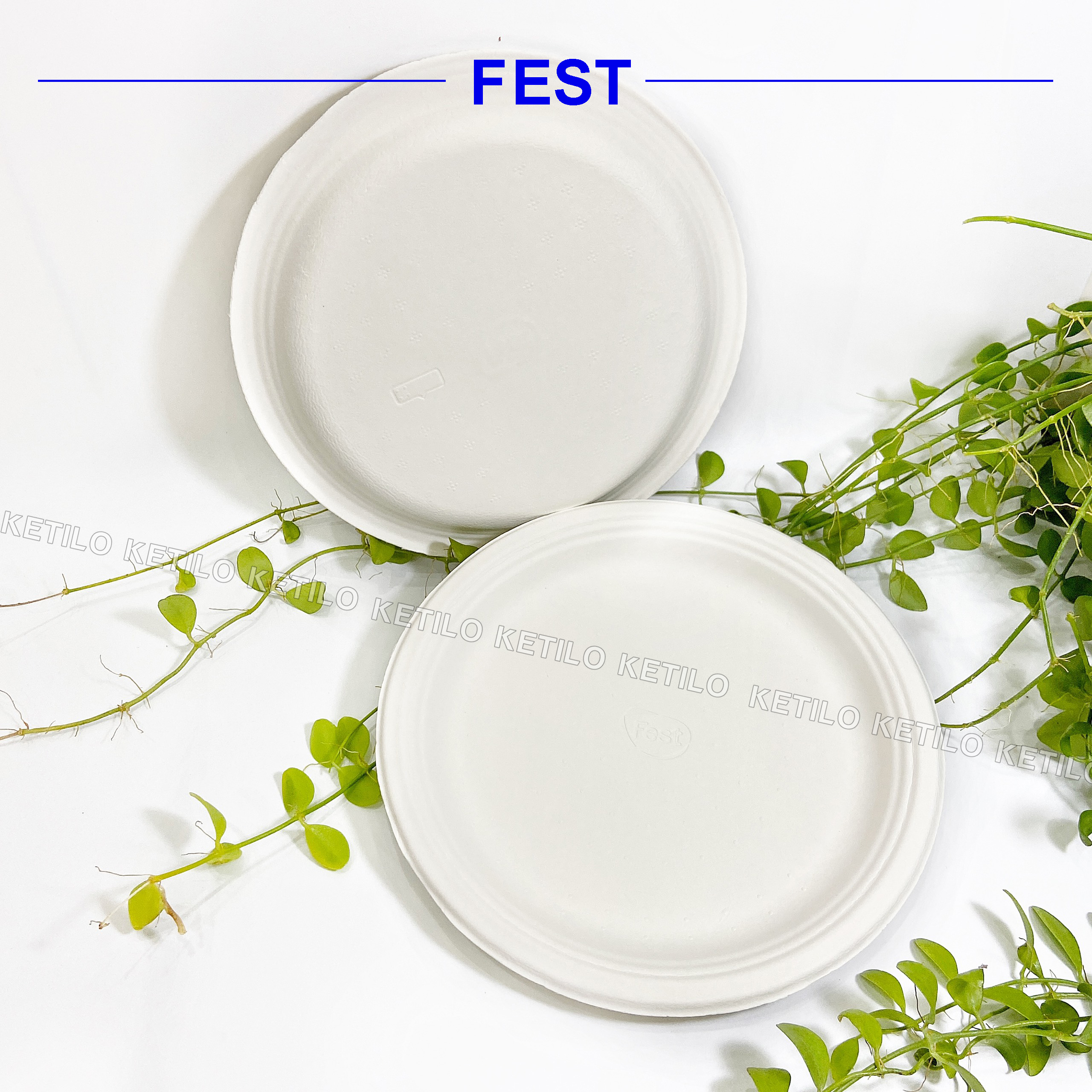 Dĩa Giấy FEST BIO PLATE 8 Inches Trắng Thái Lan Cao Cấp, Sử Dụng Tốt Trong Lò Vi Sóng, Dùng 1 Lần, An Toàn Thân Thiện Môi Trường