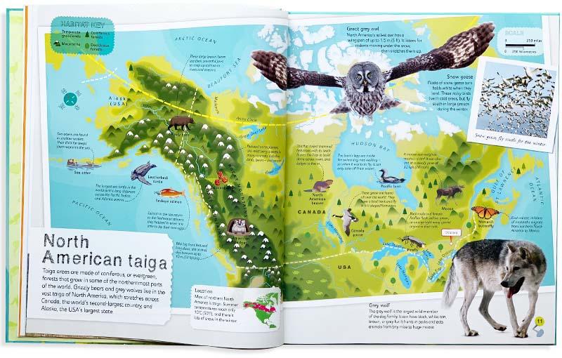 Sách Khám Phá - Children's Illustrated Atlas - Một Cuốn Bản Đồ Dạng Atlas Thế Giới Có 1 Không 2, Cuốn Sách Sẽ Đưa Các Con Vào Chuyến Đi Vòng Quanh Thế Giới Kỳ Thú - Á Châu books, Bìa Cứng, In Màu