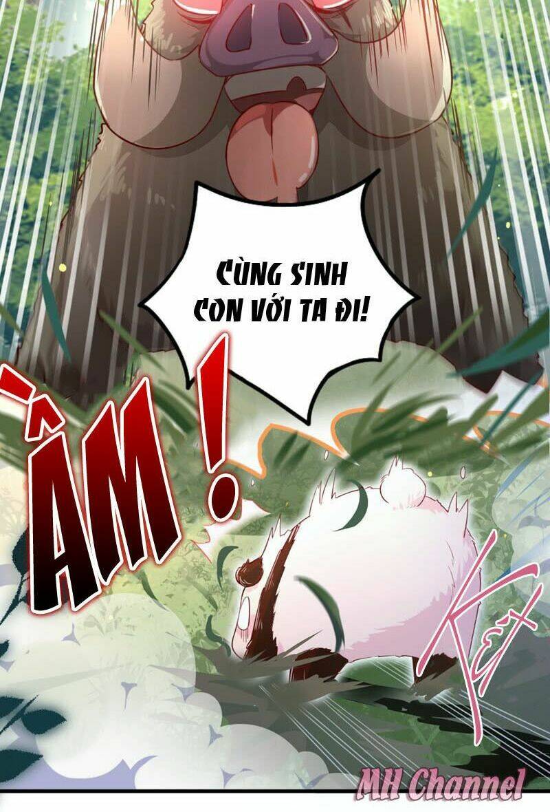 thiên thần gấu trúc muốn được ôm chapter 3 10