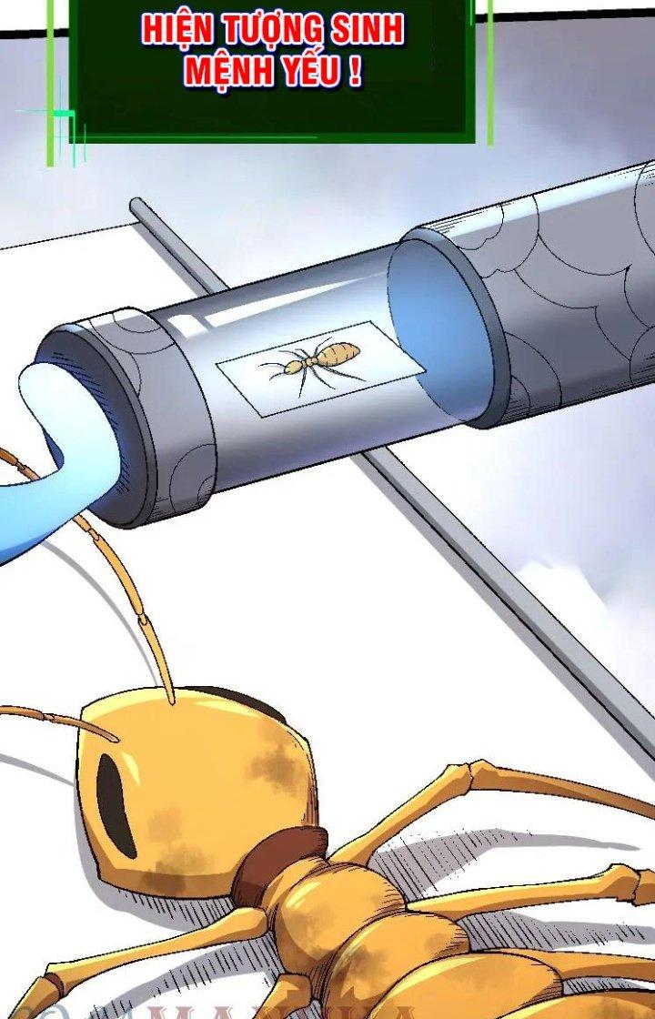 từ cây cổ thụ bắt đầu tiến hóa chapter 36 33